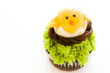 Gourmet chocolate Easter cupcakes individually decorated.の写真素材