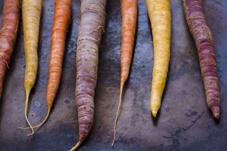 Organic rainbow carrots from the local farm.の写真素材