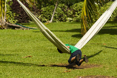 Traditional mexican hammock in the garden.のeditorial素材