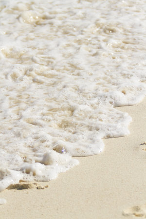 Beach of the Caribbean Sea.