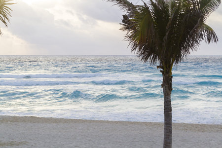 Beach of the Caribbean Sea.