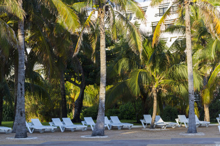 Swimming pool at the vacation resort in Mexico.の写真素材