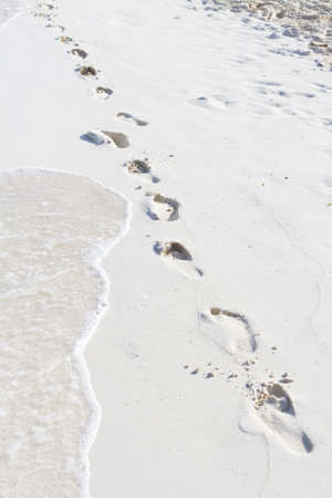 Fresh footprints on the beach.の写真素材