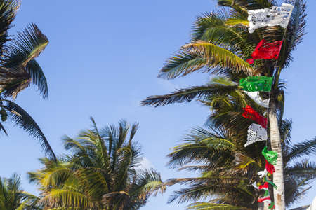 Coconut trees decorated for distanation wedding.の写真素材