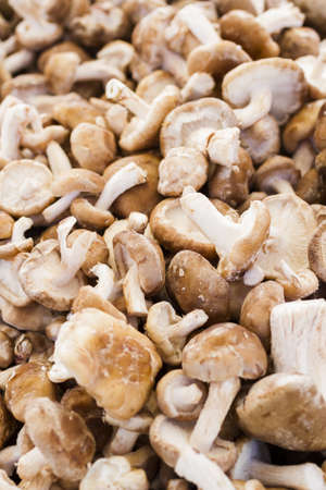 Fresh produce at the local Farmers Market.の写真素材