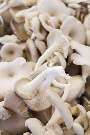 Fresh produce at the local Farmers Market.の写真素材