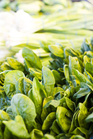 Fresh produce at the local Farmers Market.の写真素材