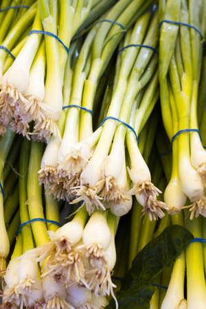 Fresh produce at the local Farmers Market.の写真素材
