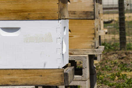 Installation of bee hives at new location.