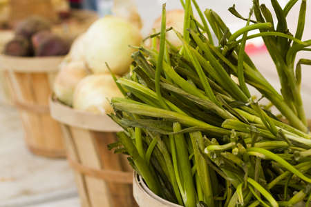 Fresh produce on sale at the local farmers market.の写真素材