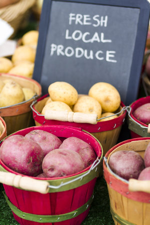 Fresh produce on sale at the local farmers market.の写真素材