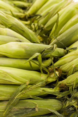 Fresh produce on sale at the local farmers market.