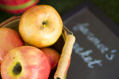 Fresh produce on sale at the local farmers market.の写真素材