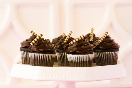 Small dark chocolate cupcakes at dessert bar.