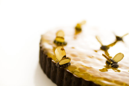 White chocolate lemon honey tart on a white background.の写真素材