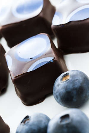 Blueberry truffles on a white background.の写真素材
