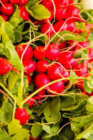 Fresh produce at the local farmer's  market.