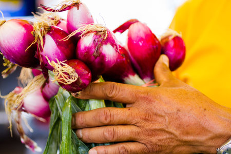 Fresh produce at the local farmer's  market.の写真素材