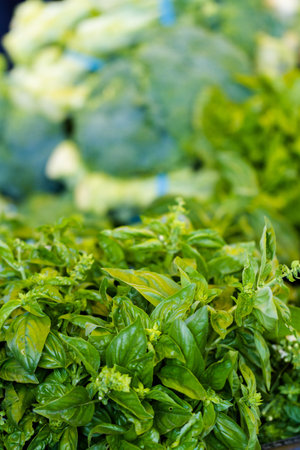 Fresh produce at the local farmer's  market.の写真素材