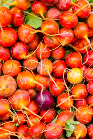 Fresh produce at the local farmer's  market.