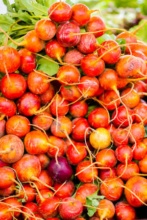 Fresh produce at the local farmer's  market.の写真素材
