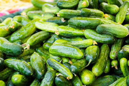 Fresh produce at the local farmer's  market.の写真素材