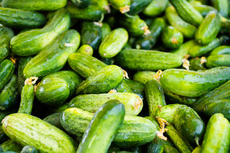 Fresh produce at the local farmer's  market.の写真素材