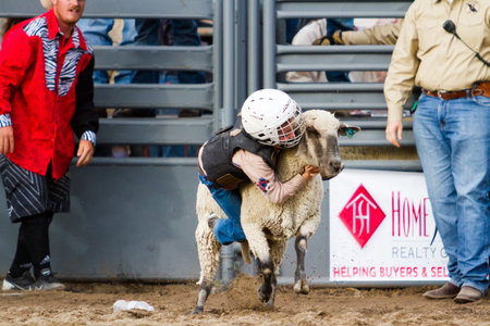 2013 Cowboy Up rodeo in Kiowa, Colorado.