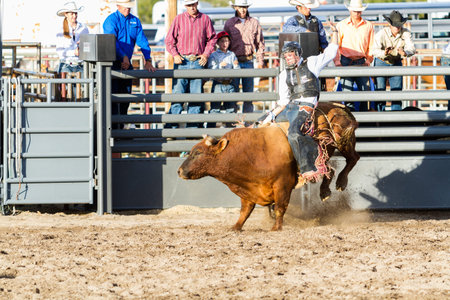 2013 Cowboy Up rodeo in Kiowa, Colorado.
