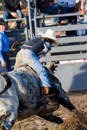 2013 Cowboy Up rodeo in Kiowa, Colorado.のeditorial素材