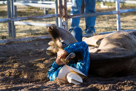 2013 Cowboy Up rodeo in Kiowa, Colorado.のeditorial素材
