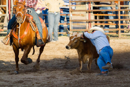2013 Cowboy Up rodeo in Kiowa, Colorado.