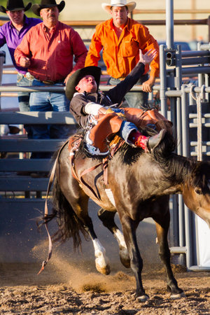 2013 Cowboy Up rodeo in Kiowa, Colorado.のeditorial素材