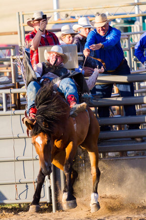 2013 Cowboy Up rodeo in Kiowa, Colorado.のeditorial素材