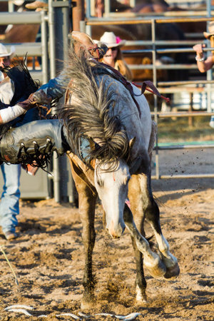 2013 Cowboy Up rodeo in Kiowa, Colorado.