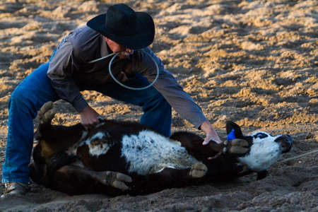 2013 Cowboy Up rodeo in Kiowa, Colorado.のeditorial素材