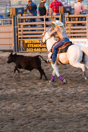 2013 Cowboy Up rodeo in Kiowa, Colorado.のeditorial素材