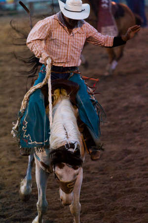2013 Cowboy Up rodeo in Kiowa, Colorado.のeditorial素材