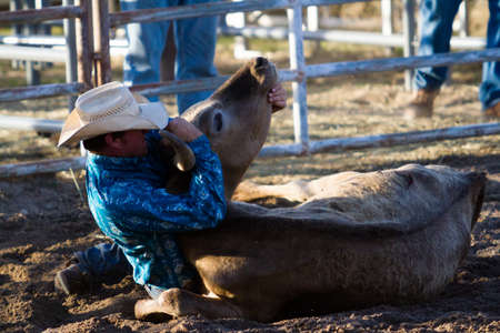 2013 Cowboy Up rodeo in Kiowa, Colorado.のeditorial素材