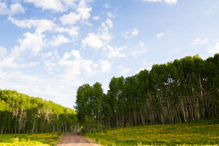 Mountain road near Crested Butte, Colorado.の写真素材