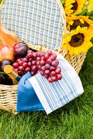 Summer picnic with a basket of food in the park.