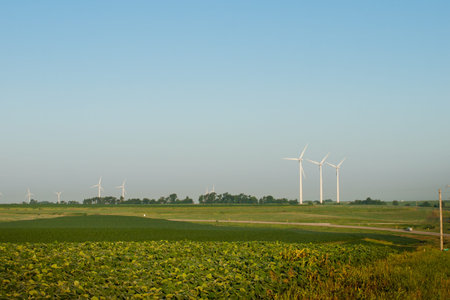Wind turbines farm at sunrise in Iowa.
