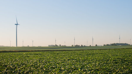 Wind turbines farm at sunrise in Iowa.