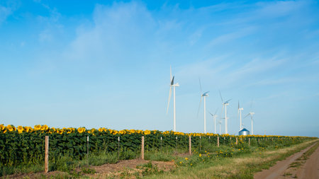 Wind turbines over a beautiful sunflowers field in Limon, Colorado.