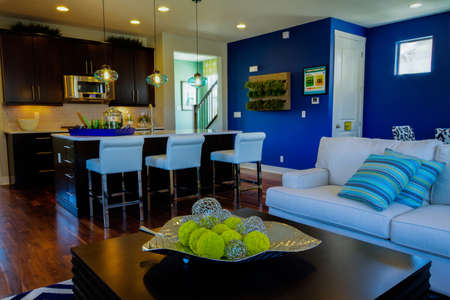 2013 Parade of Homes showcasing new houses and new interiors.のeditorial素材