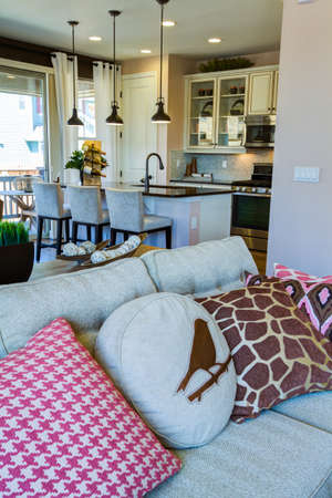 2013 Parade of Homes showcasing new houses and new interiors.のeditorial素材