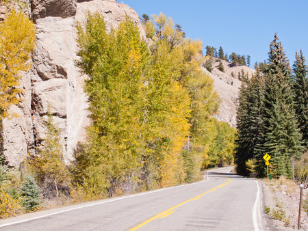 Brilliant fall colors adorn a country road in Colorado.の写真素材