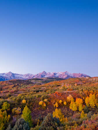 The Dallas Divide is a Colorado icon, well known for its vivid fall colors produced by scrub oak and aspens.の写真素材