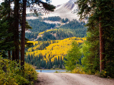 Mountain road near the Lost Lake, Colorado.の写真素材