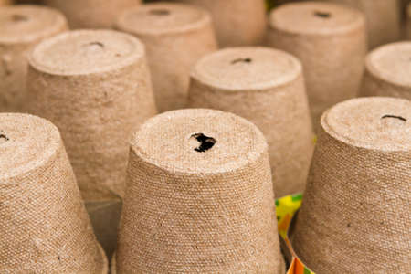 Biodegradable planting pots at the local nursery.の写真素材